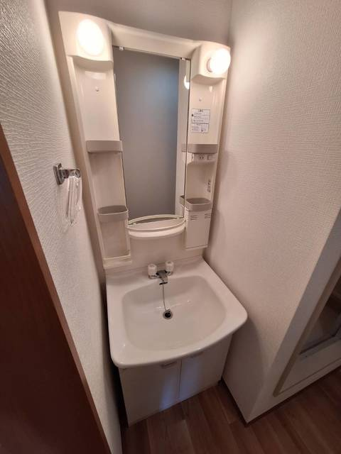 コーポイチエの洗面所