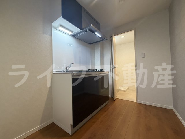 ALEGRIA東花園のキッチン|キッチンです