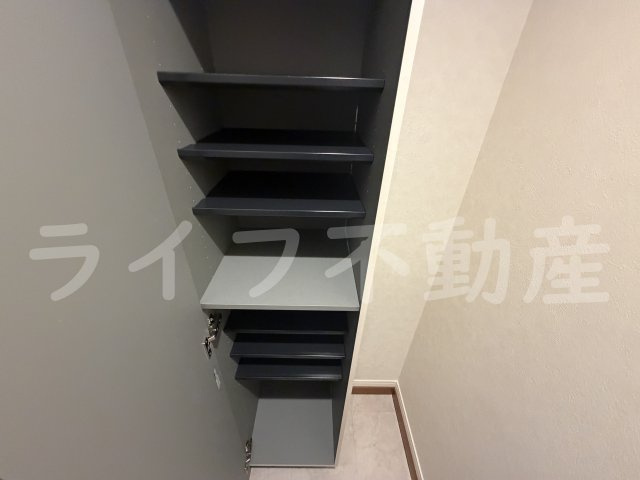 ALEGRIA東花園の収納|収納があります