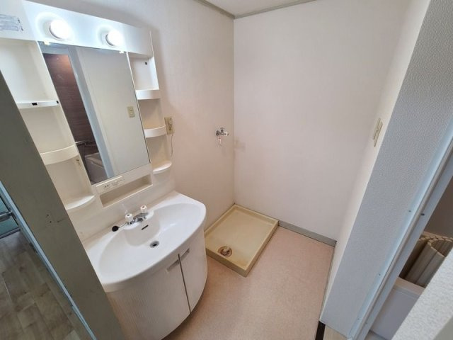 グリーンヴィレッジの洗面所