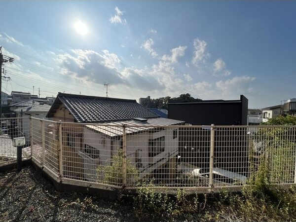 blue rose Bの展望
