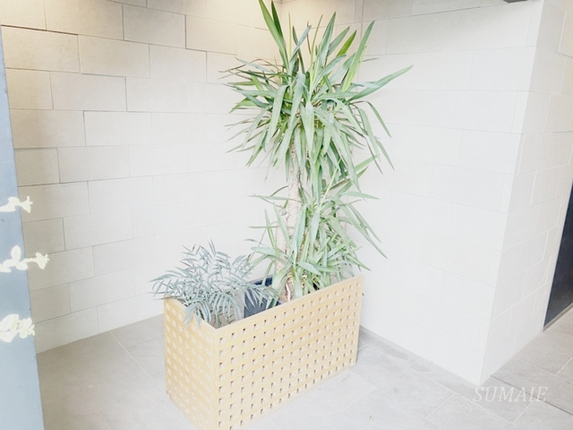 シュワーブパレのエントランス|植栽です。