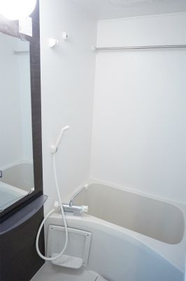 千葉市中央区寒川町１丁目の賃貸マンションの浴室