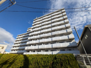 アレックス日乃本の画像