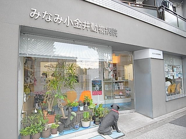 ラプラスのその他|みなみ小金井動物病院
