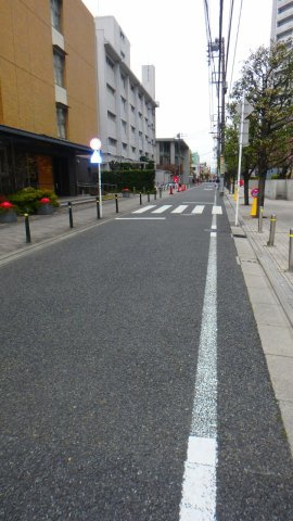 文京グリーンコートテラスの周辺
