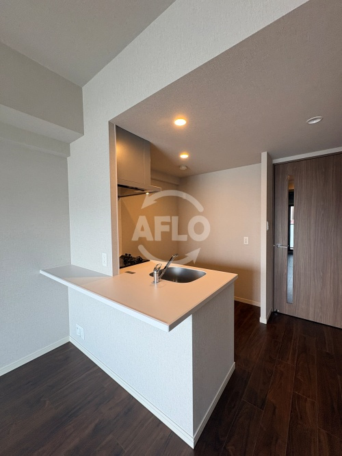 S-RESIDENCE阿波座chiaroのキッチン|S-RESIDENCE阿波座chiaro　カウンターキッチン