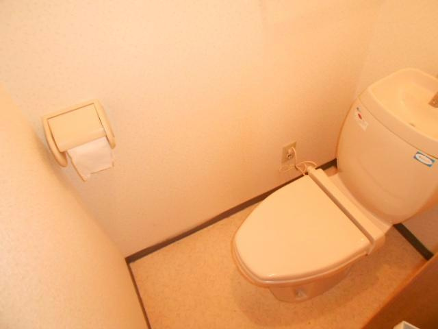 メゾンフラーリッシュのトイレ
