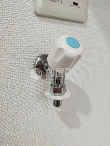 フェリスホワイト