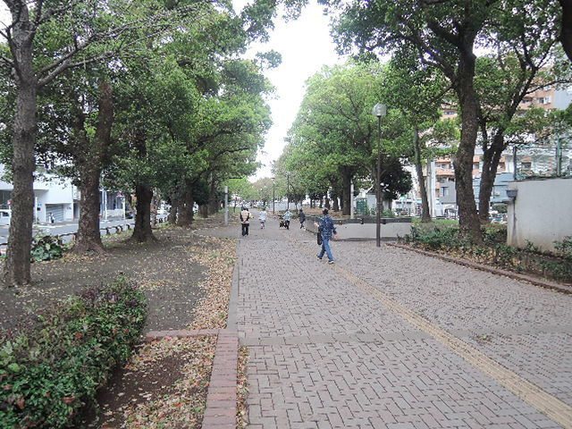 プランドールKのその他|大通り公園