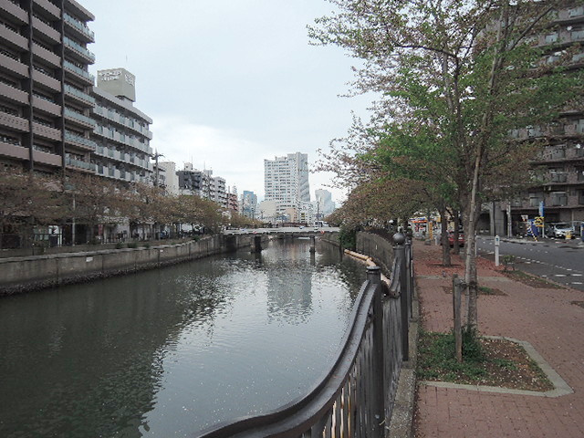 プランドールKのその他|大岡川