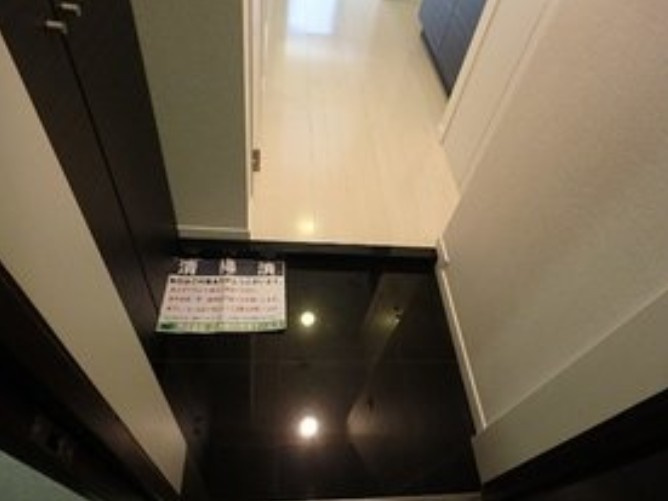 ヴィーダ御茶ノ水の玄関