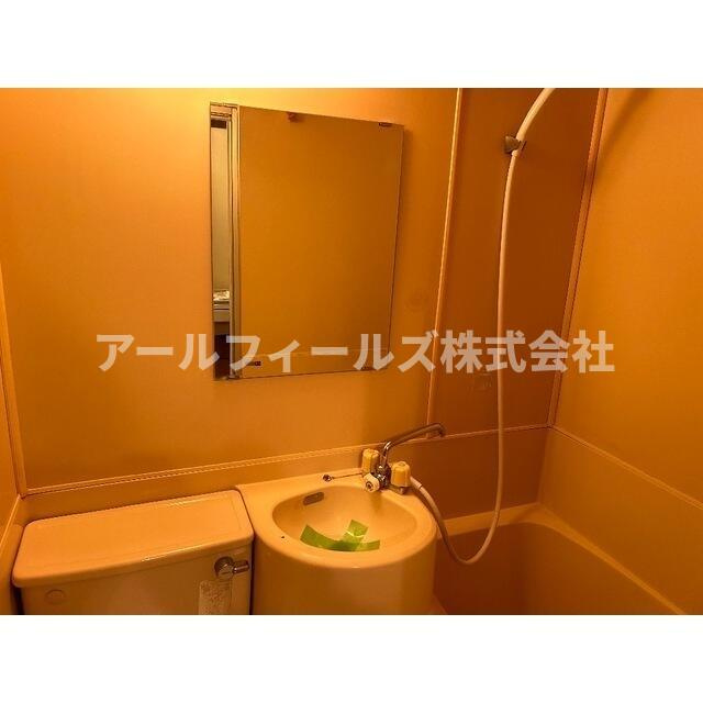 エスペラントイケダの洗面所