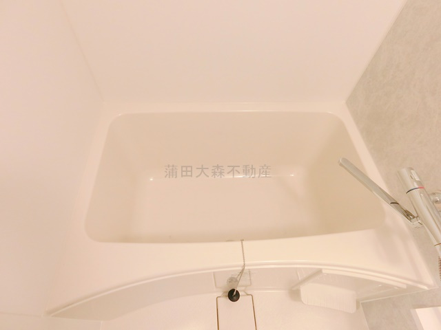 デュオフラッツ大森Eastの浴室