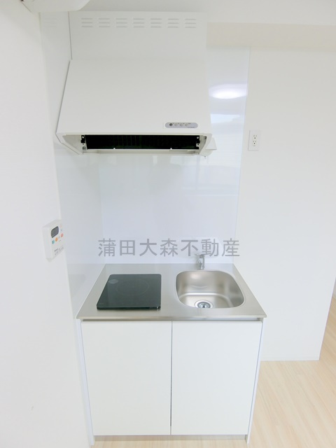 COCOCUBE武蔵新田のキッチン|2口IHシステムキッチン