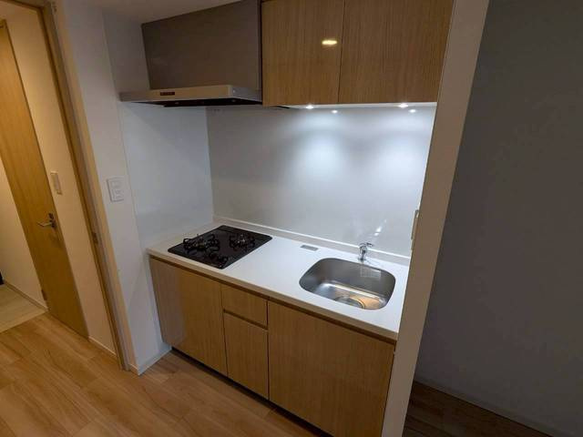 Ｓ－ＲＥＳＩＤＥＮＣＥ観音公園ａｌｏｒｉａのキッチン