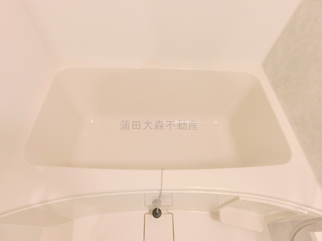 デュオフラッツ大森Eastの浴室