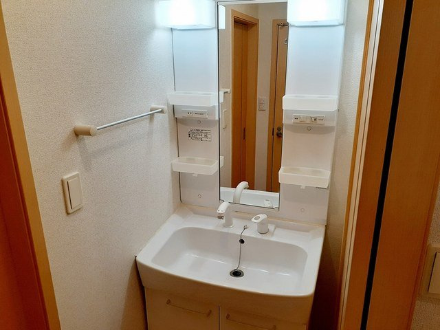セイバリーガーデンⅠの洗面所