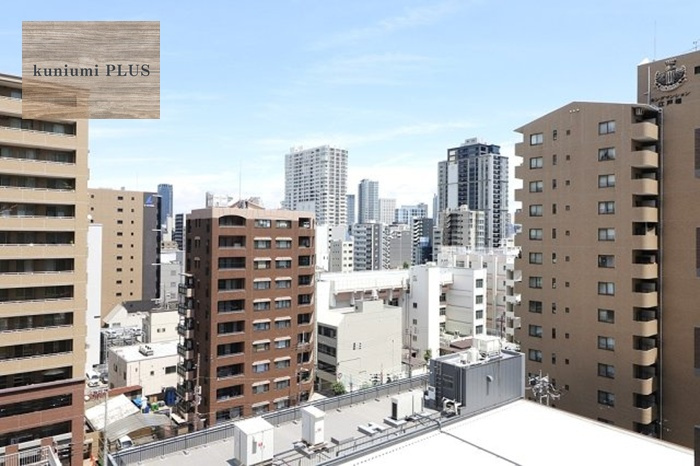 ライオンズマンション江戸堀の展望