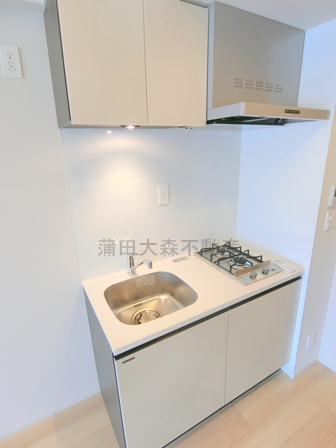 デュオフラッツ大森Eastのキッチン