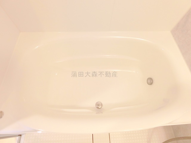 デュオフラッツ大森Eastの浴室