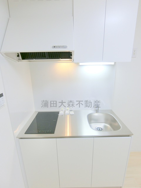 COCOCUBE武蔵新田のキッチン|2口IHシステムキッチン