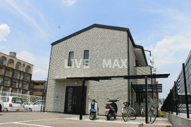 アンプルールフェールハンナハンナの画像