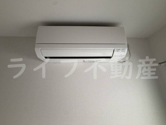DPortadiamantの設備