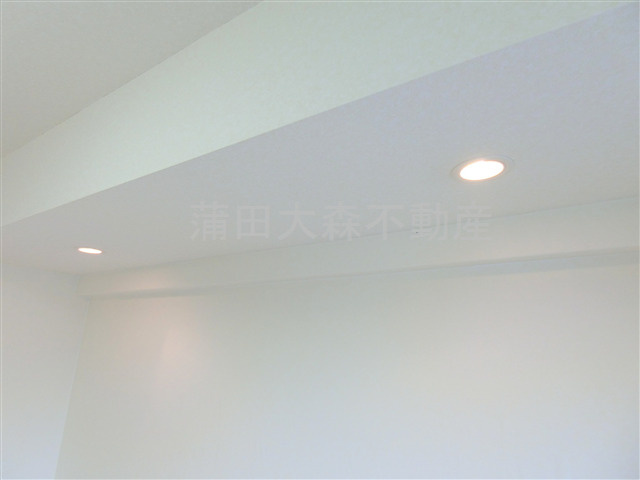 ルーブル蒲田八番館の設備|ダウンライト