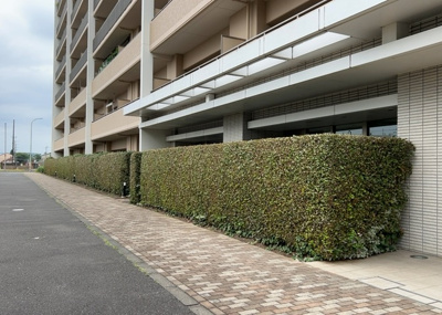 【庭】 | ワンズシティ | 物件によっては、入居者が個人的に使用できる専用庭がついているものもあります。また、住宅の中にある土間の部分を庭と呼ぶこともあります。庭の用途は住む人によって変わり、それによってデザインもさまざまです。