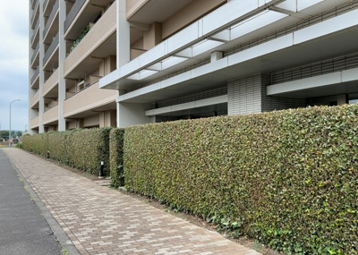 【中庭】 | ワンズシティ | 中庭（パティオ）とは、一つの建築物の内部に設けられた、壁などで囲われている庭のことを指します。コの字型、ロの字型が主流ですが、L字型の中庭もあります。最近では、インテリア性の高さからも人気があります。