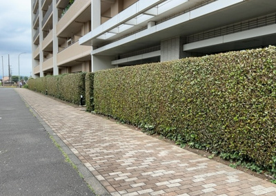 【内装】 | ワンズシティ | 共有部分は、住民なら誰もが使える設備のこと。例えば駐車場やエレベーター、インターネット設備、セキュリティ設備などがあります。他にも、マンションの廊下・外部階段やエントランス・ゴミ置き場などがあります。