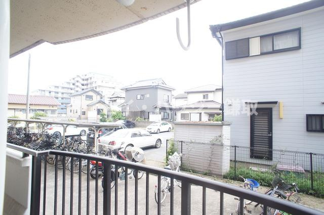 アヴニール梨の樹の展望