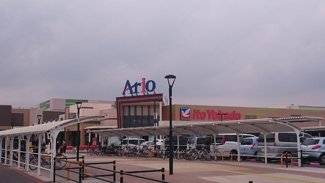 アヴニール梨の樹のその他|アリオ市原店