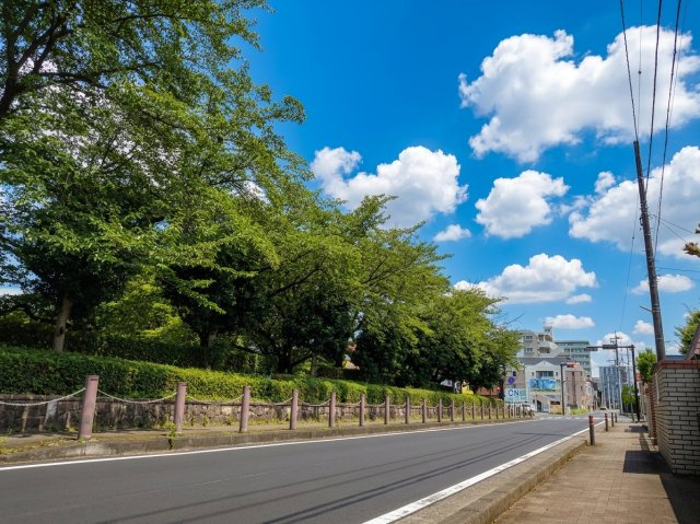 横山公園最前列の庭付邸宅　茶道教室などに最適です♪の前面道路含む現地写真