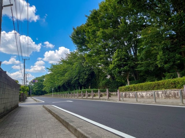 横山公園最前列の庭付邸宅　茶道教室などに最適です♪の前面道路含む現地写真