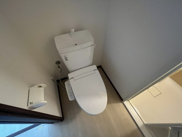落ち着いた色調のトイレです
