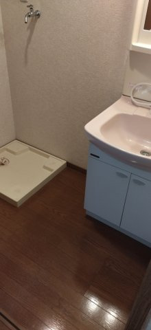 グリムコートの洗面所