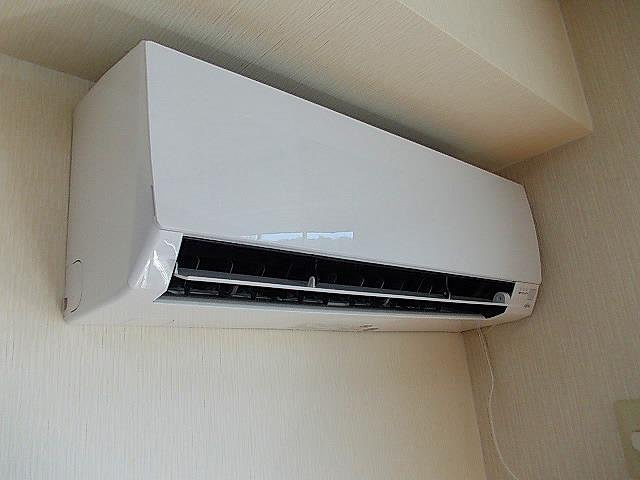 フロレスタのその他