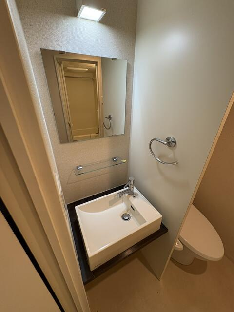 カリーノ元浅草の洗面所|同タイプ別部屋です。