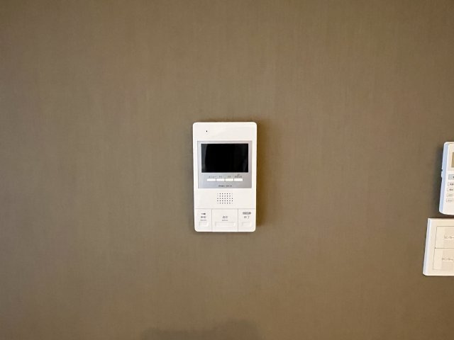 ペルシカ　ミコのセキュリティ