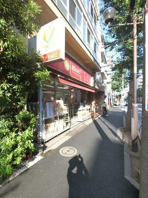 リトルズトーン目白下落合の周辺