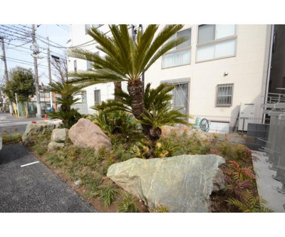 植栽