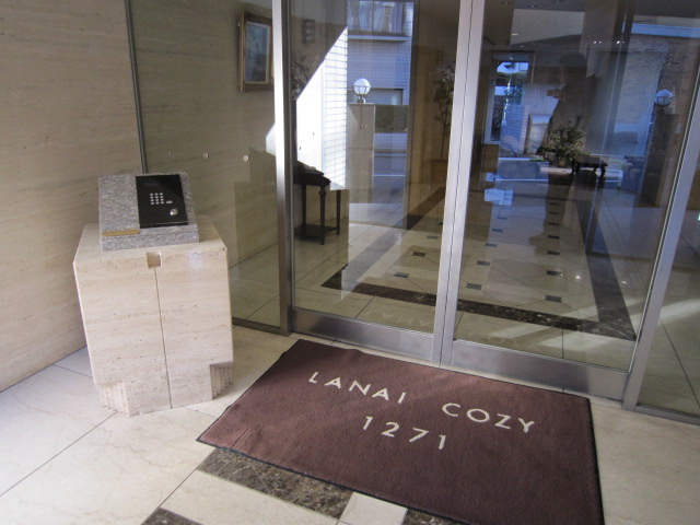 ＬＡＮＡＩ　ＣＯＺＹ　1271