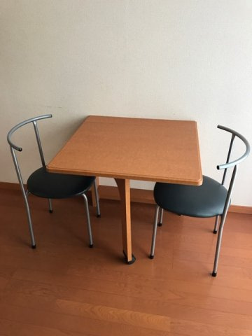 レオパレスステラⅡのその他
