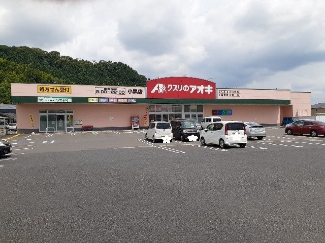 グリーン　ガーデンの周辺|クスリのアオキまで650m