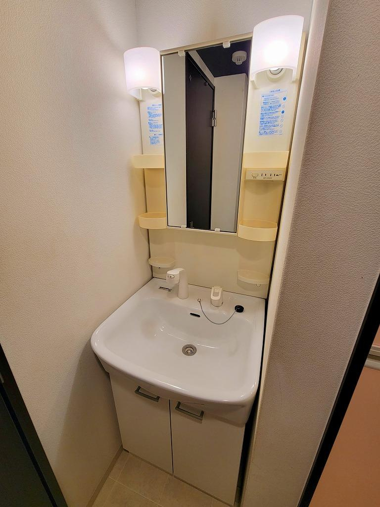 セレブコート日本橋の洗面所