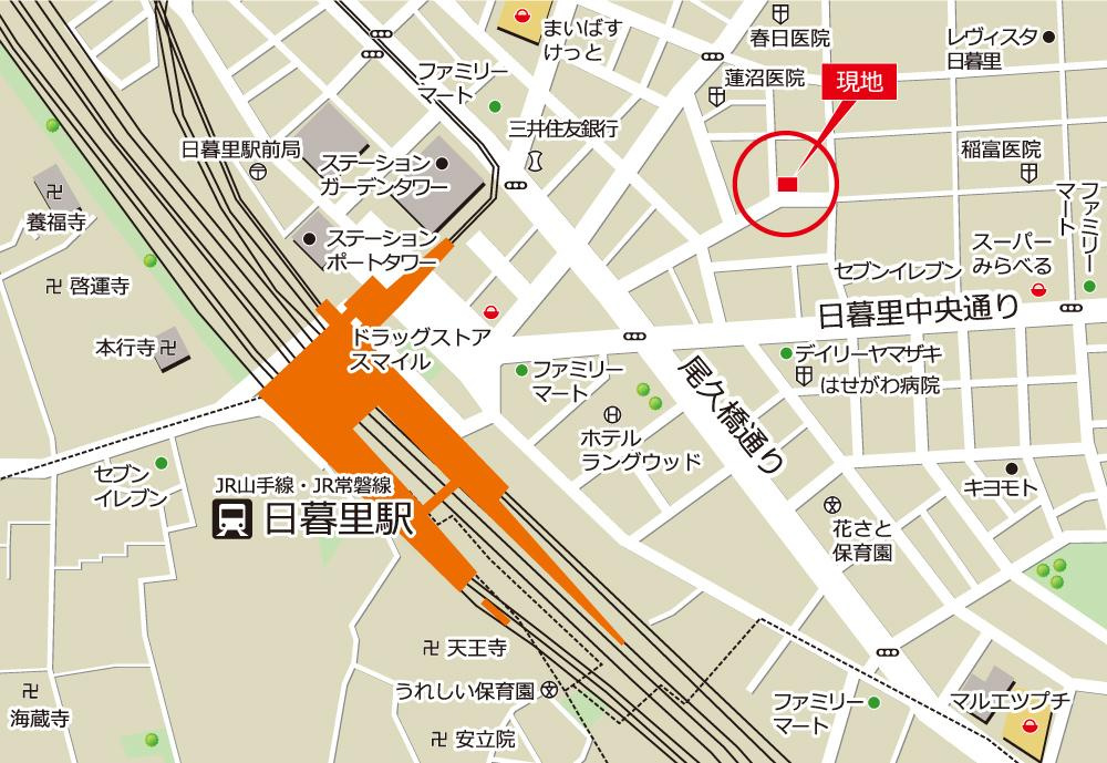 モンステラの周辺