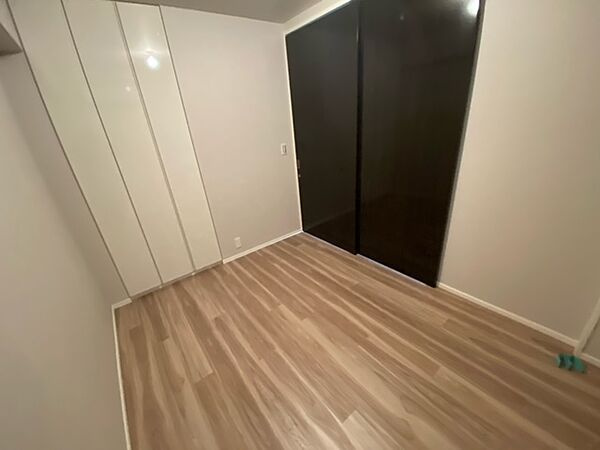 中央区新川２丁目の賃貸マンションの収納