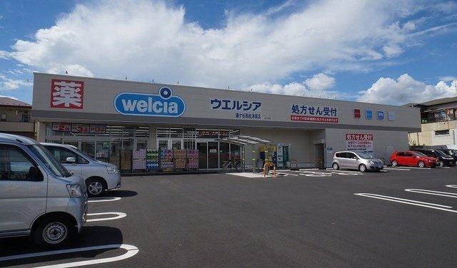 ダイアンサス　ガーデンの周辺|ウェルシアまで180m